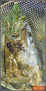 Eggplant roasted on the stove top