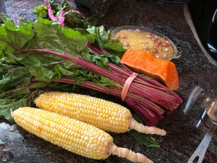 The recipe challenge begins for Red Swiss Chard Bhaji in Instant Pot